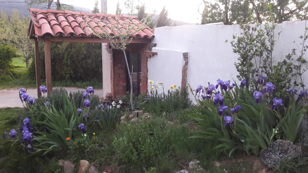 Casa De La Abuela Bego Vila Los Molinos de Ocon Exterior foto